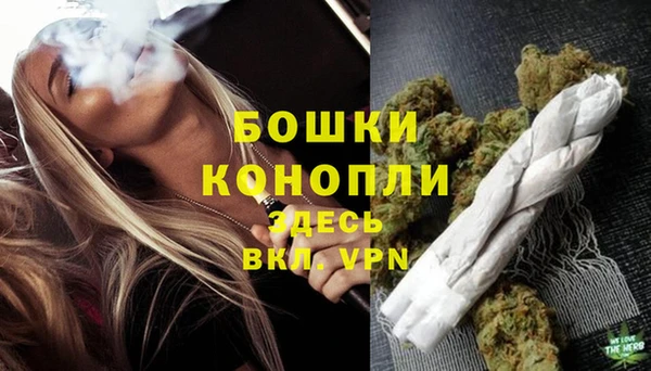 бошки Нея