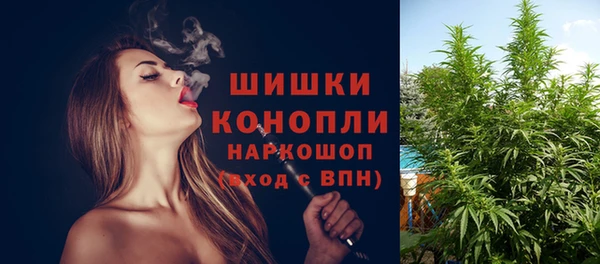 бошки Нея