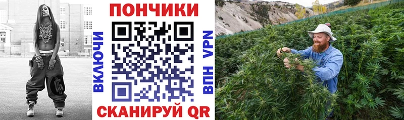 Купить  Кирс  МАРИХУАНА THC 21% 